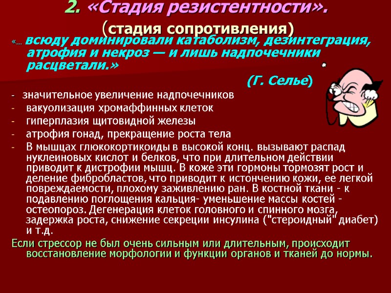 2. «Стадия резистентности».   (стадия сопротивления) «… всюду доминировали катаболизм, дезинтеграция, атрофия и